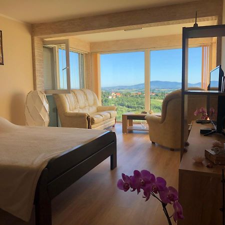 Vila Pogled Arandjelovac Exterior foto