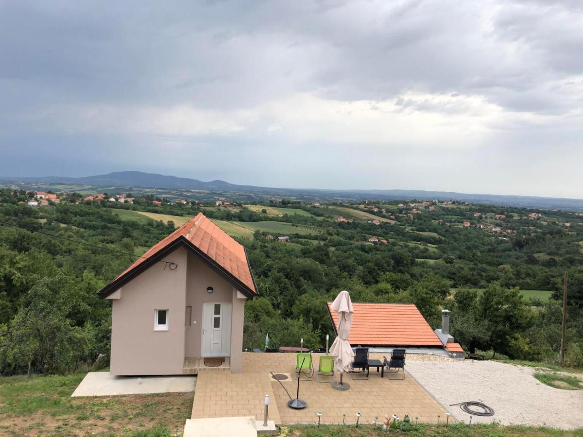 Vila Pogled Arandjelovac Exterior foto