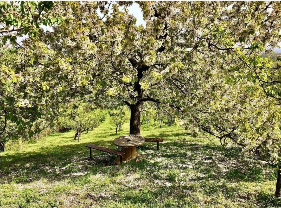 Vila Pogled Arandjelovac Exterior foto
