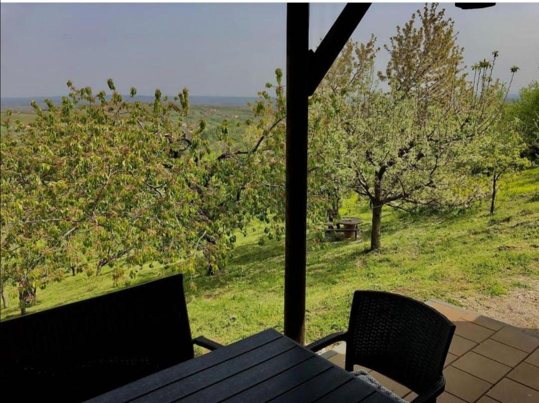 Vila Pogled Arandjelovac Exterior foto